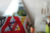 Banner de Sael for you®