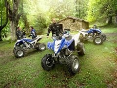 YFM350R en internet