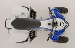 Imagen de YFM700R
