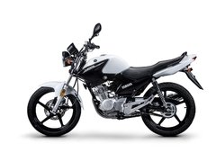 YBR125ED en internet