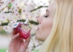 JIMMY CHOO BLOSSOM EDP x 100 ml - Perfumes Lourdes
