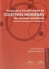 Coleção Reflexividades Indígenas (ESGOTADO) - loja online