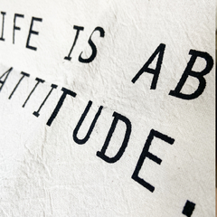 FUNDA ATTITUDE 50x70cm (OUTLET) - comprar online