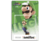 Amiibo Super Smash Bros. - Luigi