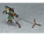 The Legend of Zelda Twilight Princess Link (Deluxe Version) Figma Action Figure - hadriatica