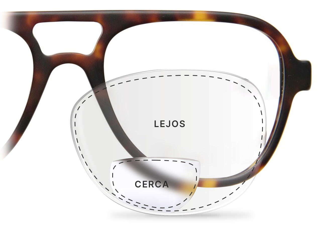 Lentes bifocal online