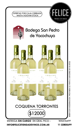 COQUENA TORRONTES BODEGA YACOCHUYA