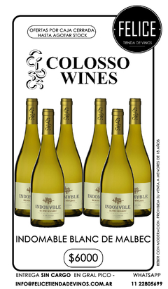 INDOMABLE BLANCO DE MALBEC