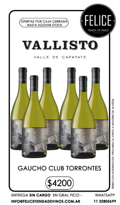 GAUCHO CLUB TORRONTES VALLISTO