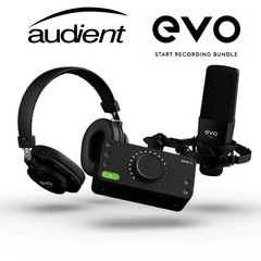 AUDIENT START RECORDING