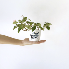 Maceta - "All you need is love" The Beatles