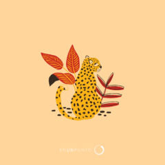 Chita