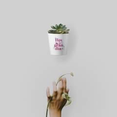 Maceta - Hoy es un gran día en internet