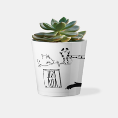 Maceta - Jira Alta