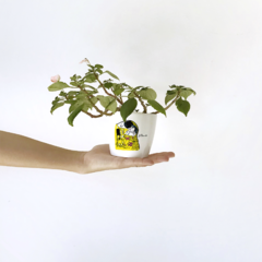 Maceta - Klimt - comprar online