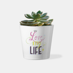 Maceta - Love of my life