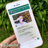 50 Invitaciones whatsapp 15 años - comprar online