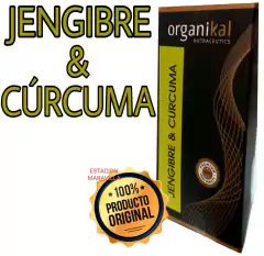 ORGANIKAL JENJIBRE + CURCUMA