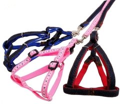 Conjunto Correa y pretal de nylon fantas­a