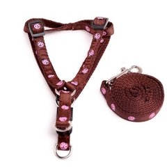 Conjunto Correa y pretal de nylon fantas­a en internet