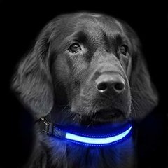 Collar luminoso Led