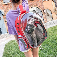 Mochila Transportadora Transparente