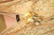 Brazalete #01 - comprar online