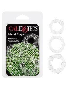 ANILLOS ERECTORES
