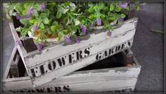 Imagen de ALQUILER JUEGOS DE JARDÍN- ELEMENTOS DE JARDINERÍA