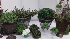 ALQUILER FLORES Y FRUTAS ARTIFICIALES en internet