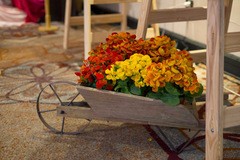 ALQUILER JUEGOS DE JARDÍN- ELEMENTOS DE JARDINERÍA - LA MELANGE 