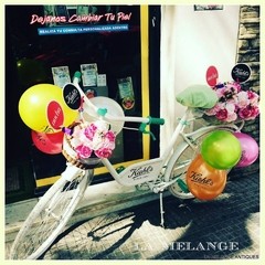 BICICLETA ANTIGUA VINTAGE - tienda online