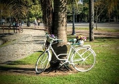 AMBIENTACION COUNTRY CHIC
