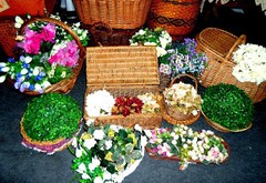 ALQUILER FLORES Y FRUTAS ARTIFICIALES en internet