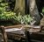 Imagen de MILLON / HOEGARDEN ( RECOLETA - CABA )