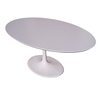 Mesa Tulip Oval 180 Sarineen Laca Pie Ovalado - Alto Impacto