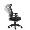 Sillón Citiz con Cabezal y Apoyo Lumbar regulable en internet