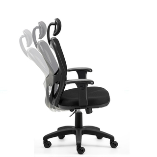 Sillón Citiz con Cabezal y Apoyo Lumbar regulable en internet