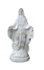 Virgen Medalla Milagrosa