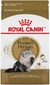 ROYAL CANIN PERSIAN ADULT X 2 KILOS (Vencimiento en etiqueta Abril 2021, vencimiento real , Abril 2022 aprox )
