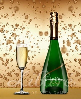champagne navarro correa