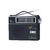 RADIO DUAL WINCO W2004 220V O A PILAS en internet
