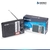 RADIO DUAL SUONO SW1-2 A PILAS Y 220V - comprar online