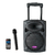 PARLANTE BLUETOOTH WINCO W230 10" POTENCIADO MICROFONO FM USB SD - comprar online