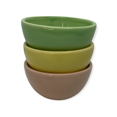 Bowl mediano - Salmón Tienda