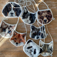 Carteritas