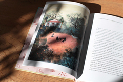 Libro ¨Diez gotitas de azar¨ - Salmón Tienda