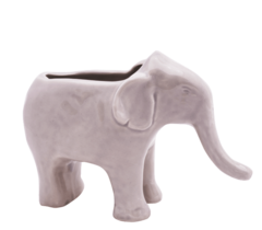 Maceta elefante