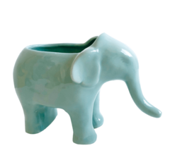 Maceta elefante en internet