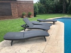 REPOSERA PACIFIC SUN LOUNGER Chocolate - tienda online